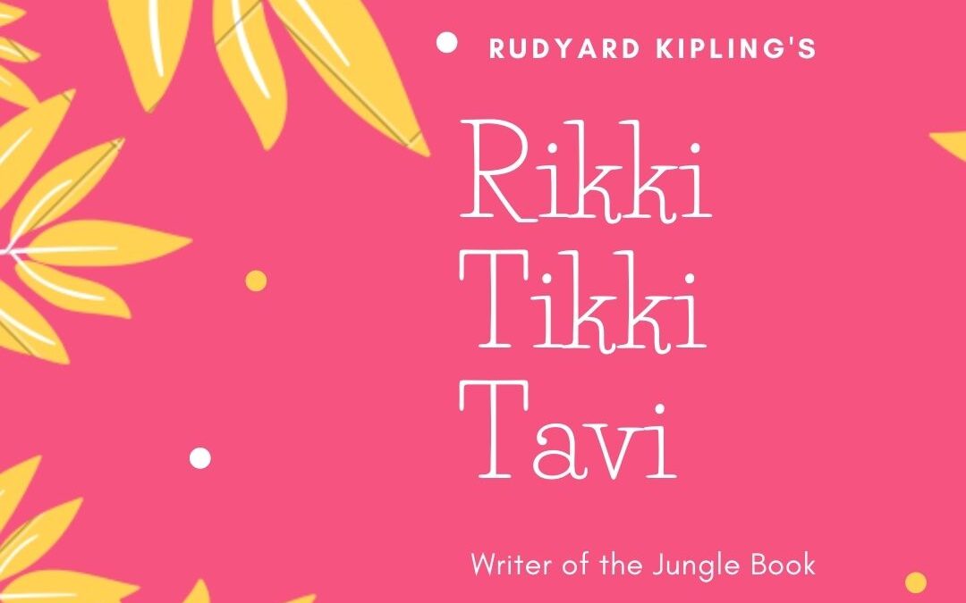 Want to know more about Children’s all-time favorite Mongoose story? Read on. (Rikki-Tikki-Tavi – Rudyard Kipling)